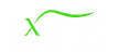 Exotic Auto Services